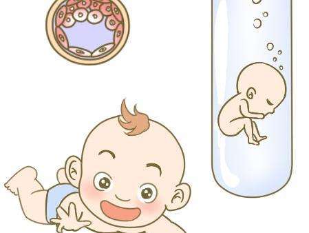 胚胎实验室